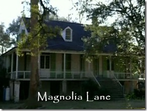 magnolia-lane-02